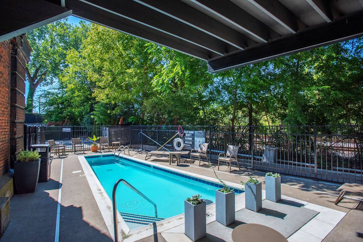 Dive into relaxation with our sun-soaked pool surrounded by lush greenery!